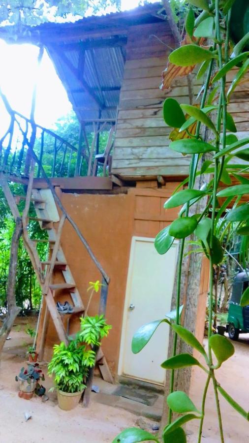 ハバラナAngry Birds Tree Houseアパートメント エクステリア 写真