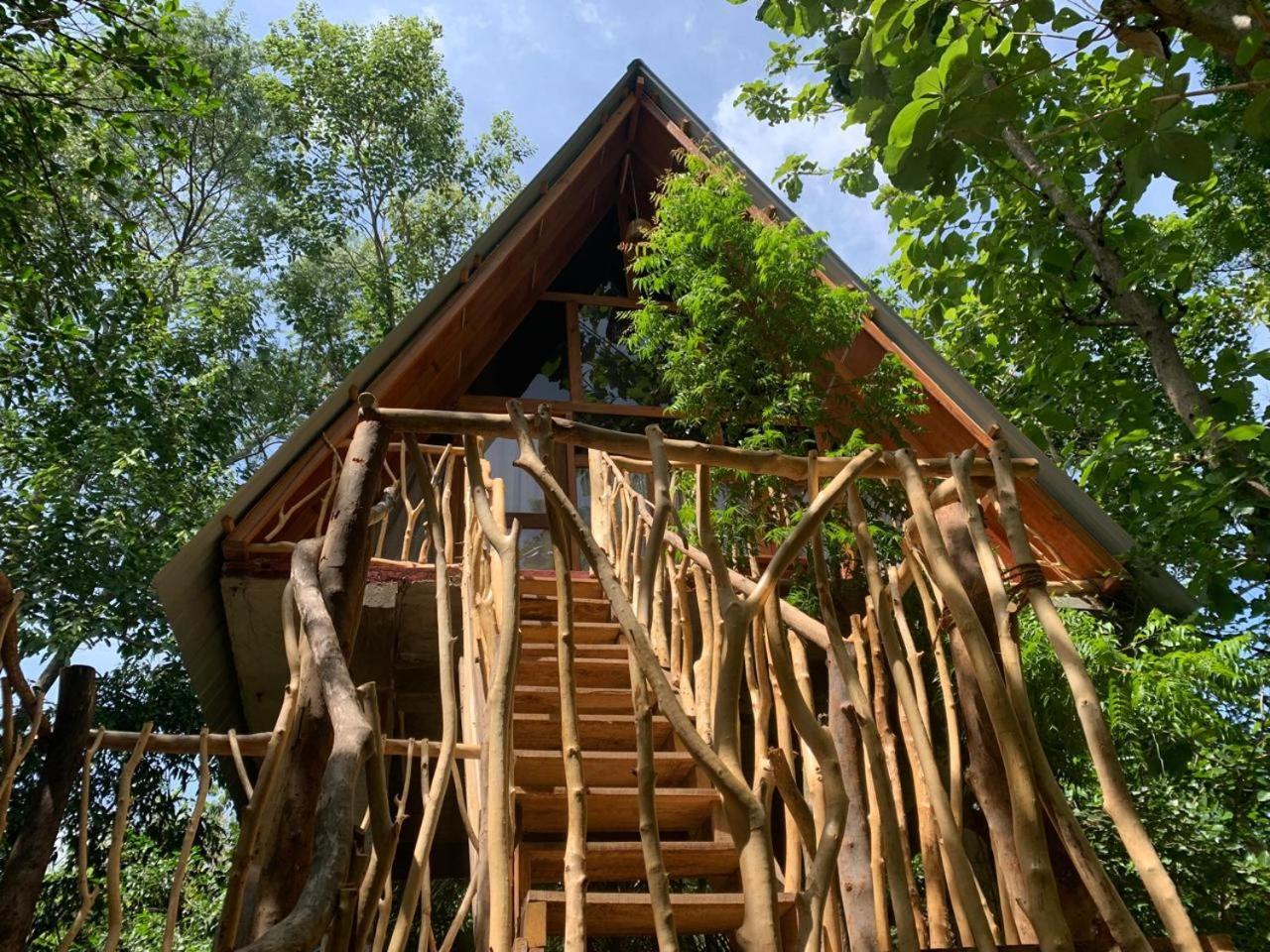 ハバラナAngry Birds Tree Houseアパートメント 部屋 写真