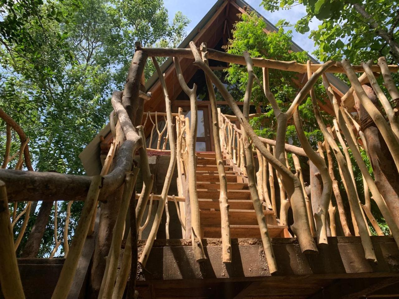 ハバラナAngry Birds Tree Houseアパートメント エクステリア 写真