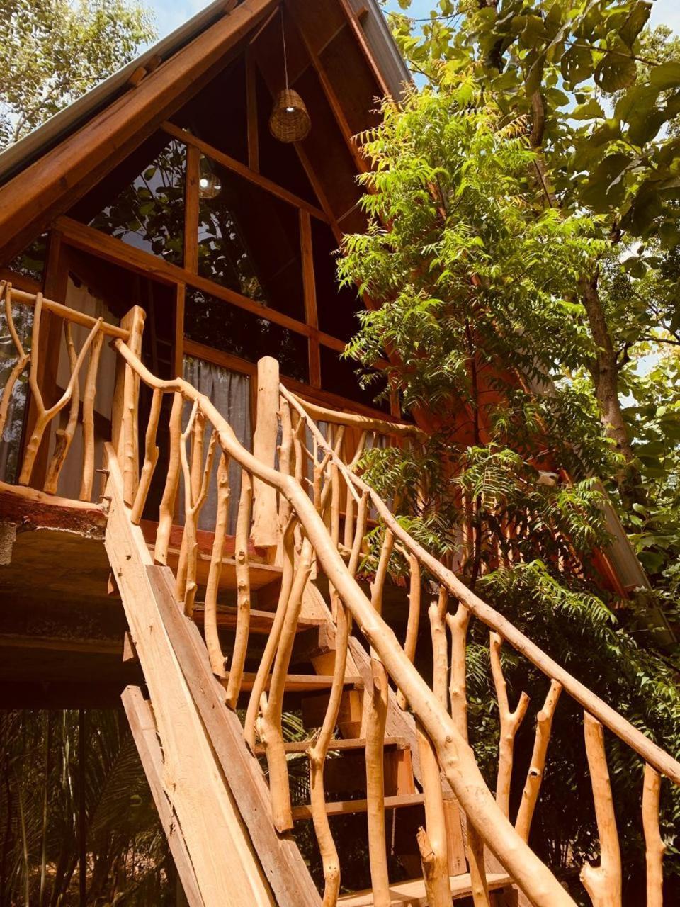 ハバラナAngry Birds Tree Houseアパートメント エクステリア 写真