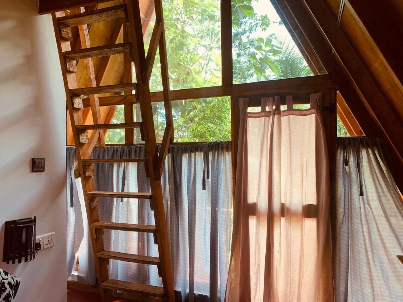 ハバラナAngry Birds Tree Houseアパートメント エクステリア 写真