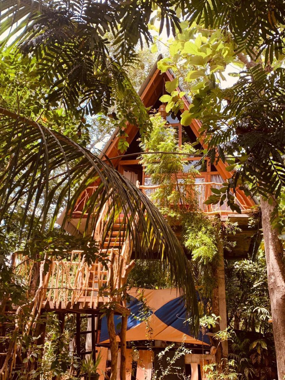ハバラナAngry Birds Tree Houseアパートメント エクステリア 写真