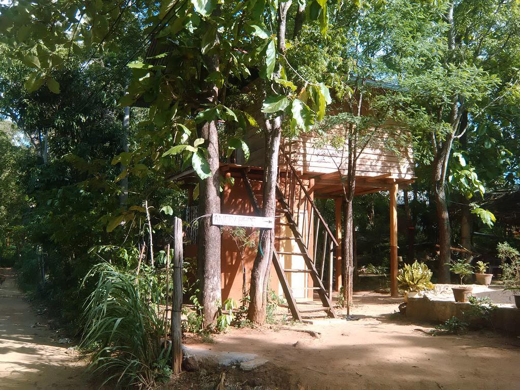 ハバラナAngry Birds Tree Houseアパートメント エクステリア 写真