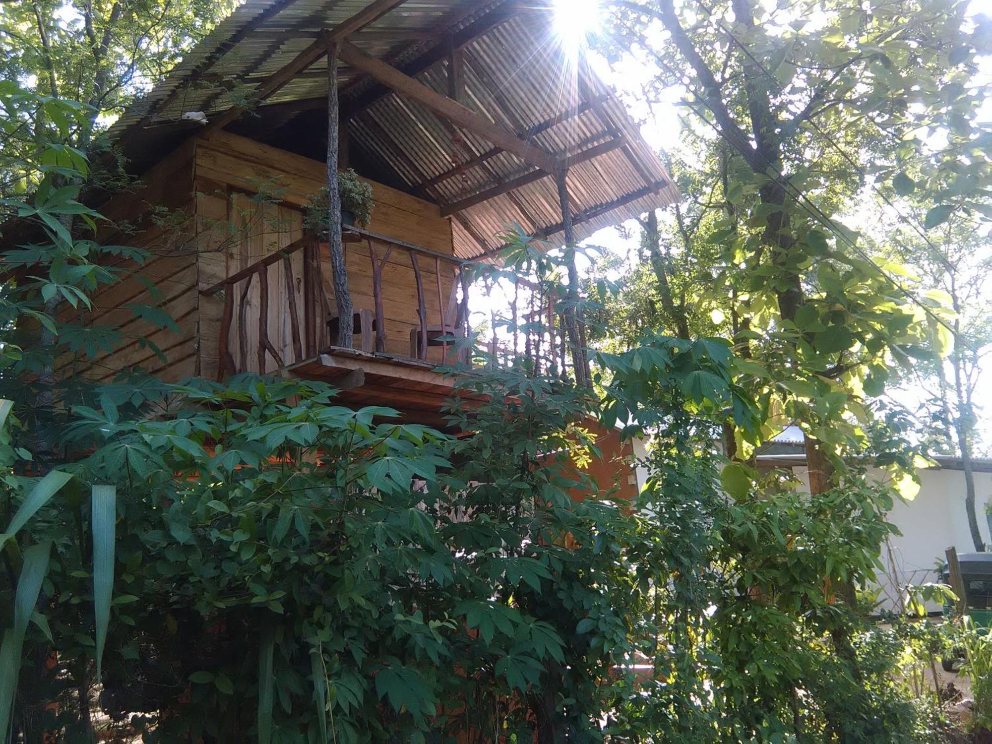 ハバラナAngry Birds Tree Houseアパートメント エクステリア 写真