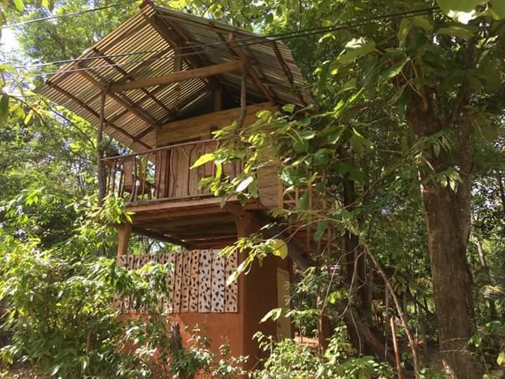ハバラナAngry Birds Tree Houseアパートメント エクステリア 写真